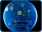 Bathroom_Floor_Petri_Dish