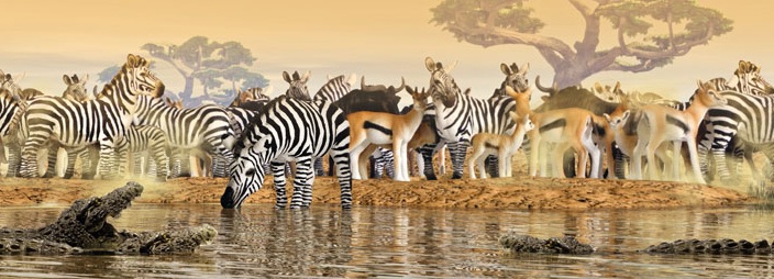 Schleich Zebras