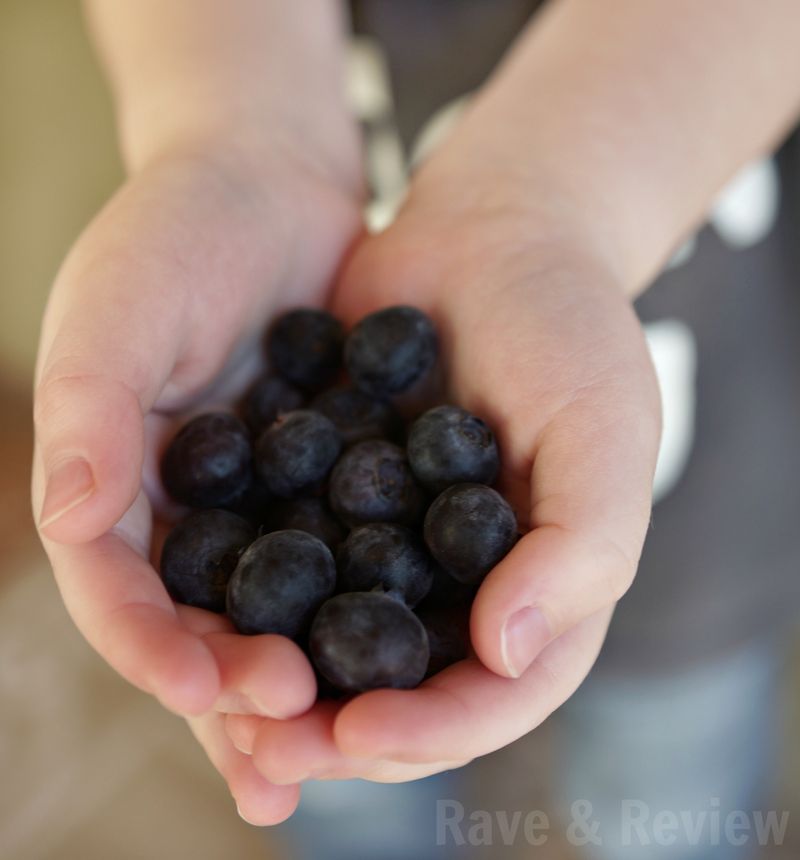 Blueberries by the handful