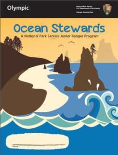 Ocean-Steward-Cover-small-cropped_3