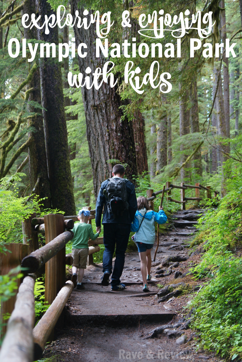 Exploring and enjoying Olympic National Park with kids