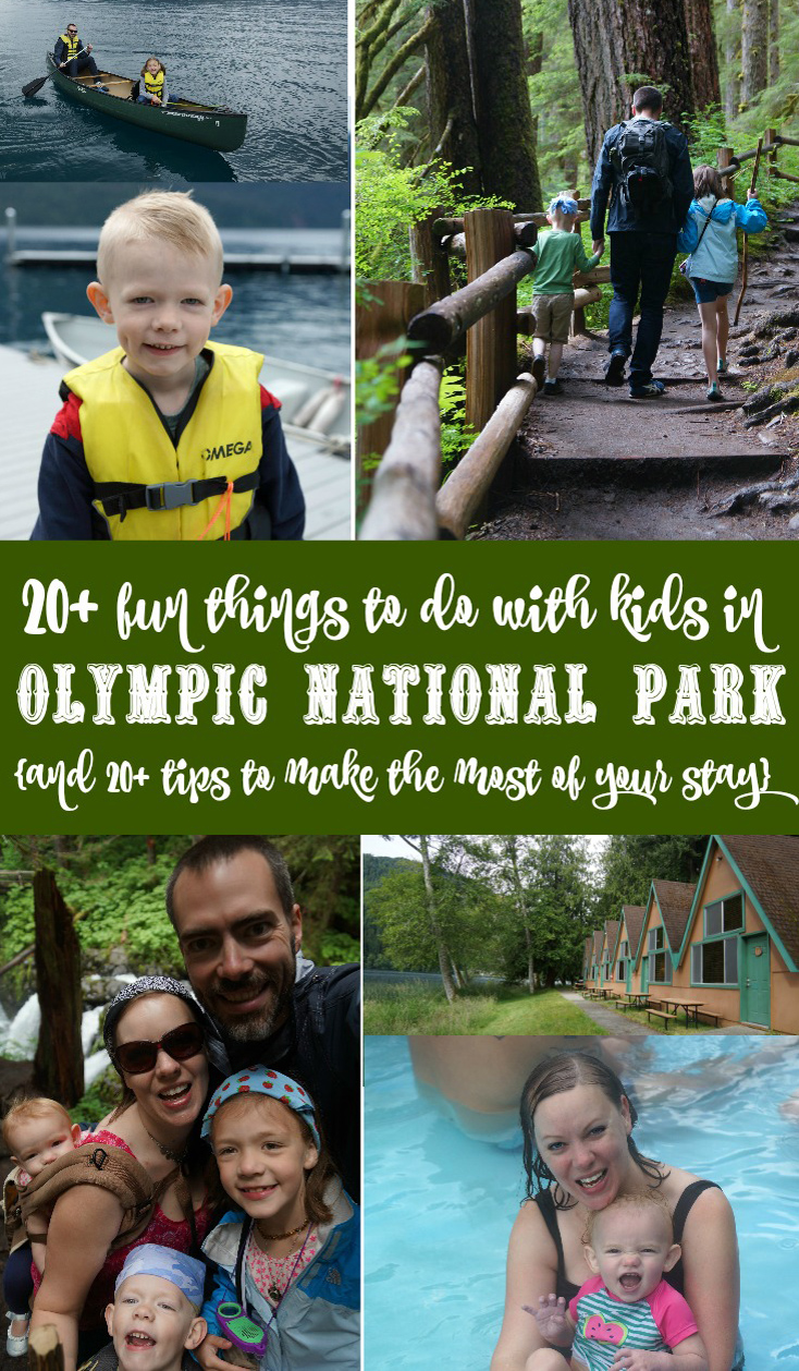 20+ fun things to do with kids in Olympic National Park and 20+ tips resized