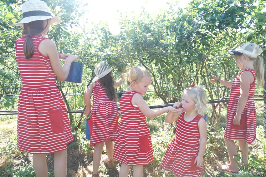 Matching girls picking blueberries