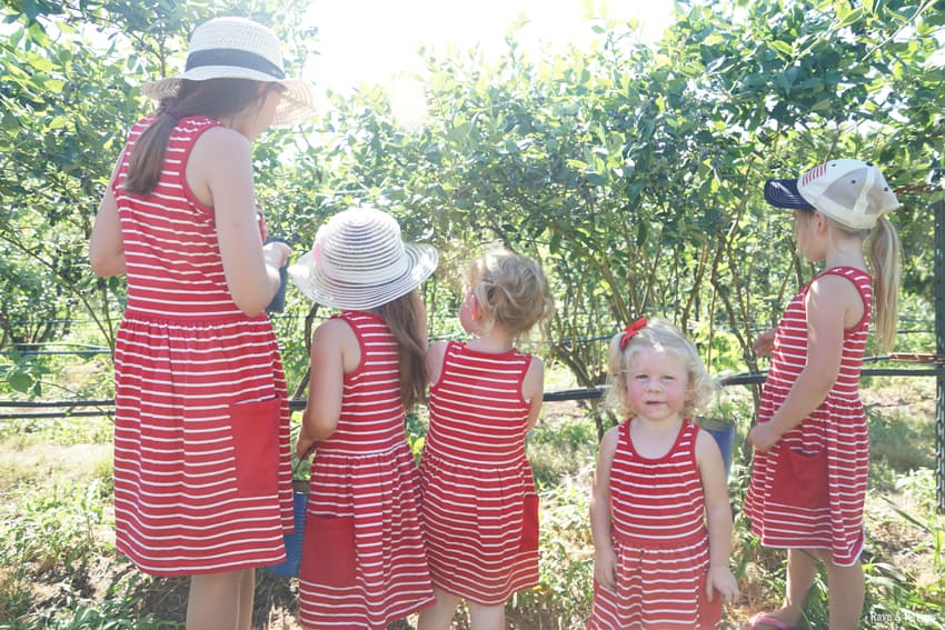 The girls blueberry picking in matching dresses
