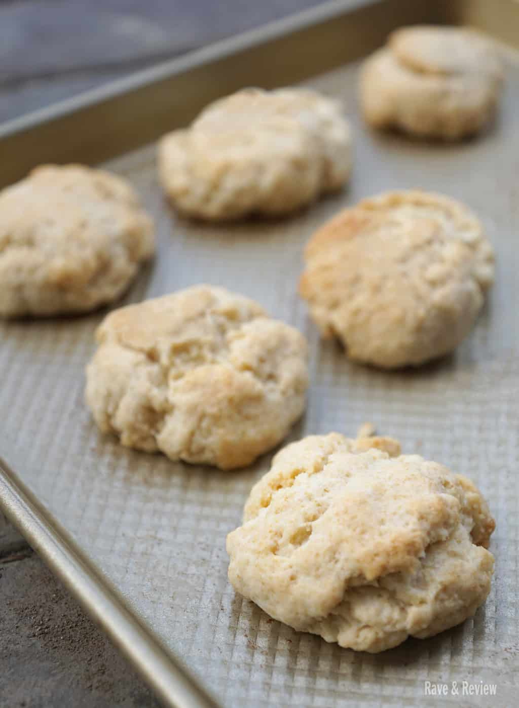 Berry shortcake with self rising flour recipe Rave & Review
