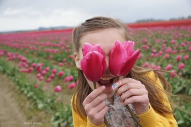 Seattle getaway: Tulips in Skagit Valley Washington