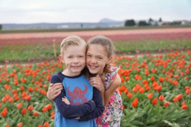 It’s tulip time, Washington