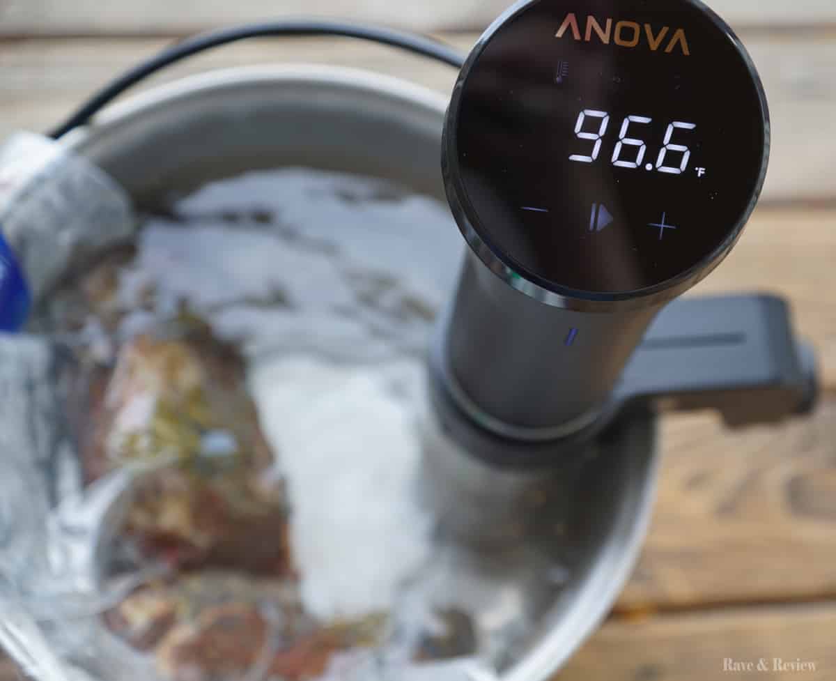 Sous Vide Cooking with Anova