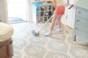 Omni Air all-in-one cordless UV-C sanitizing vacuum