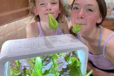 aspara Stylist Lite hydroponic smart grower will help you garden year-round