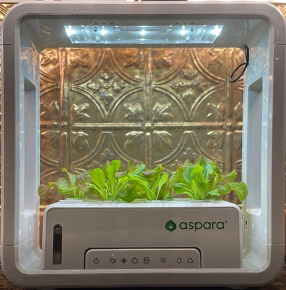 aspara Stylist Lite hydroponic smart grower